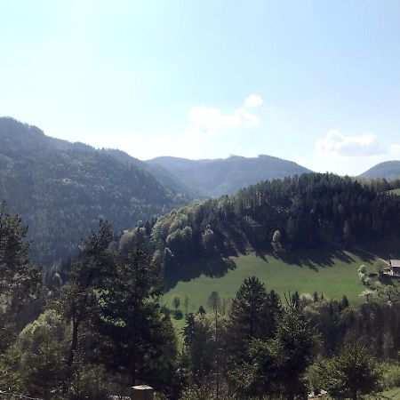 Waldblick Landhaus B&B Schwarzenbach an der Pielach Extérieur photo