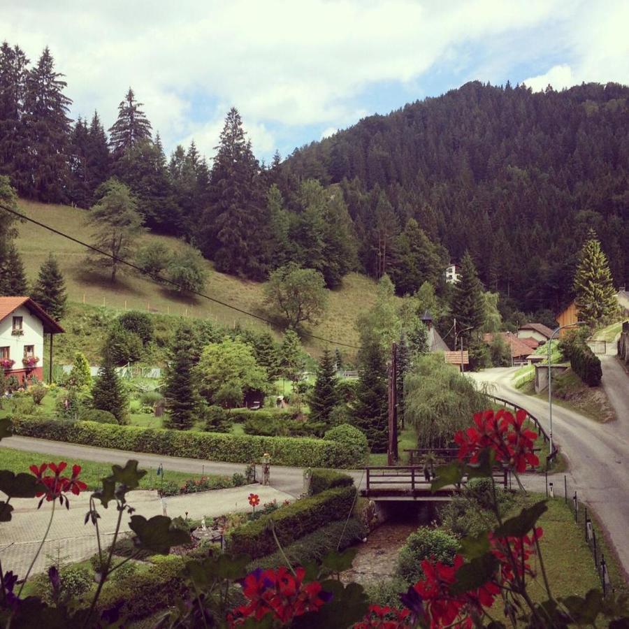 Waldblick Landhaus B&B Schwarzenbach an der Pielach Extérieur photo