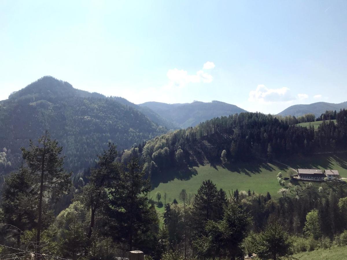 Waldblick Landhaus B&B Schwarzenbach an der Pielach Extérieur photo