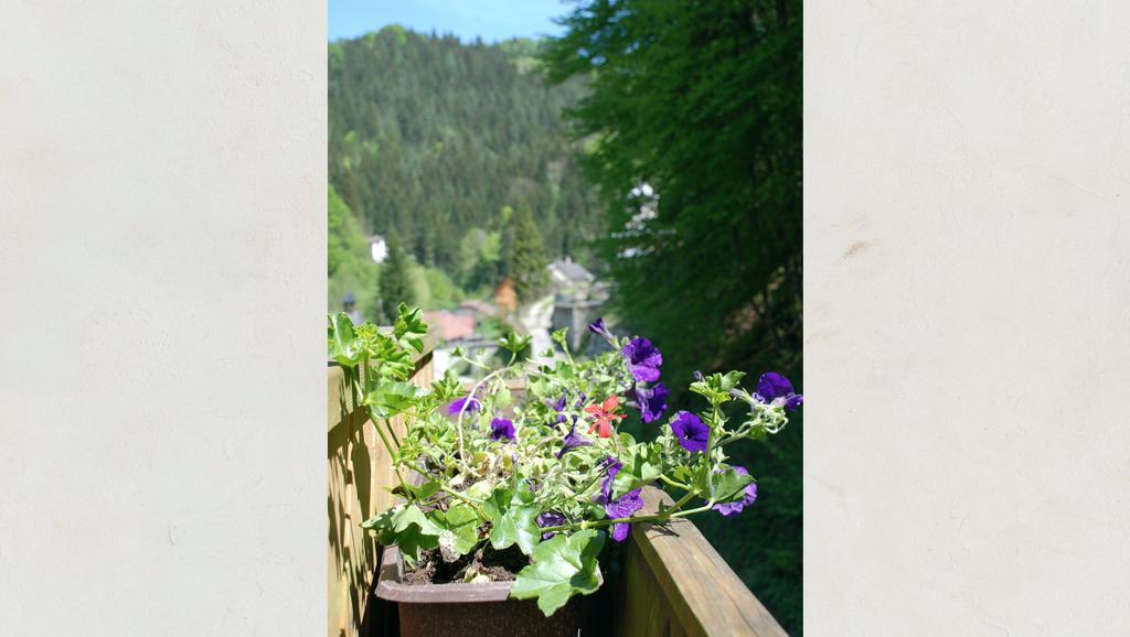 Waldblick Landhaus B&B Schwarzenbach an der Pielach Extérieur photo