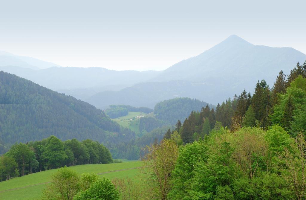 Waldblick Landhaus B&B Schwarzenbach an der Pielach Extérieur photo